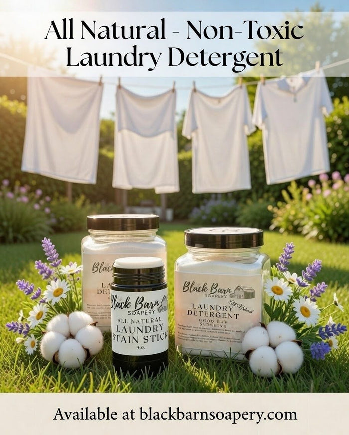 Kitchen - Laundry