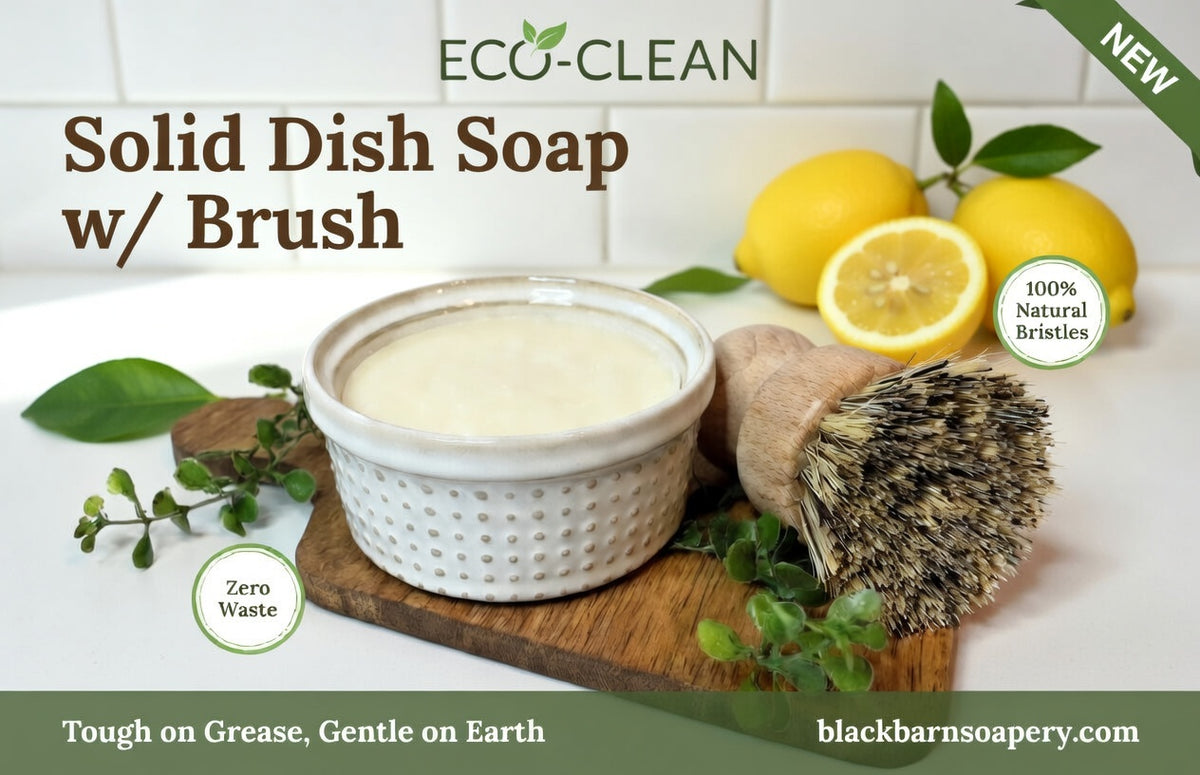 Solid Dish Soap Bar w/ Brush- Handmade Artisan Soap