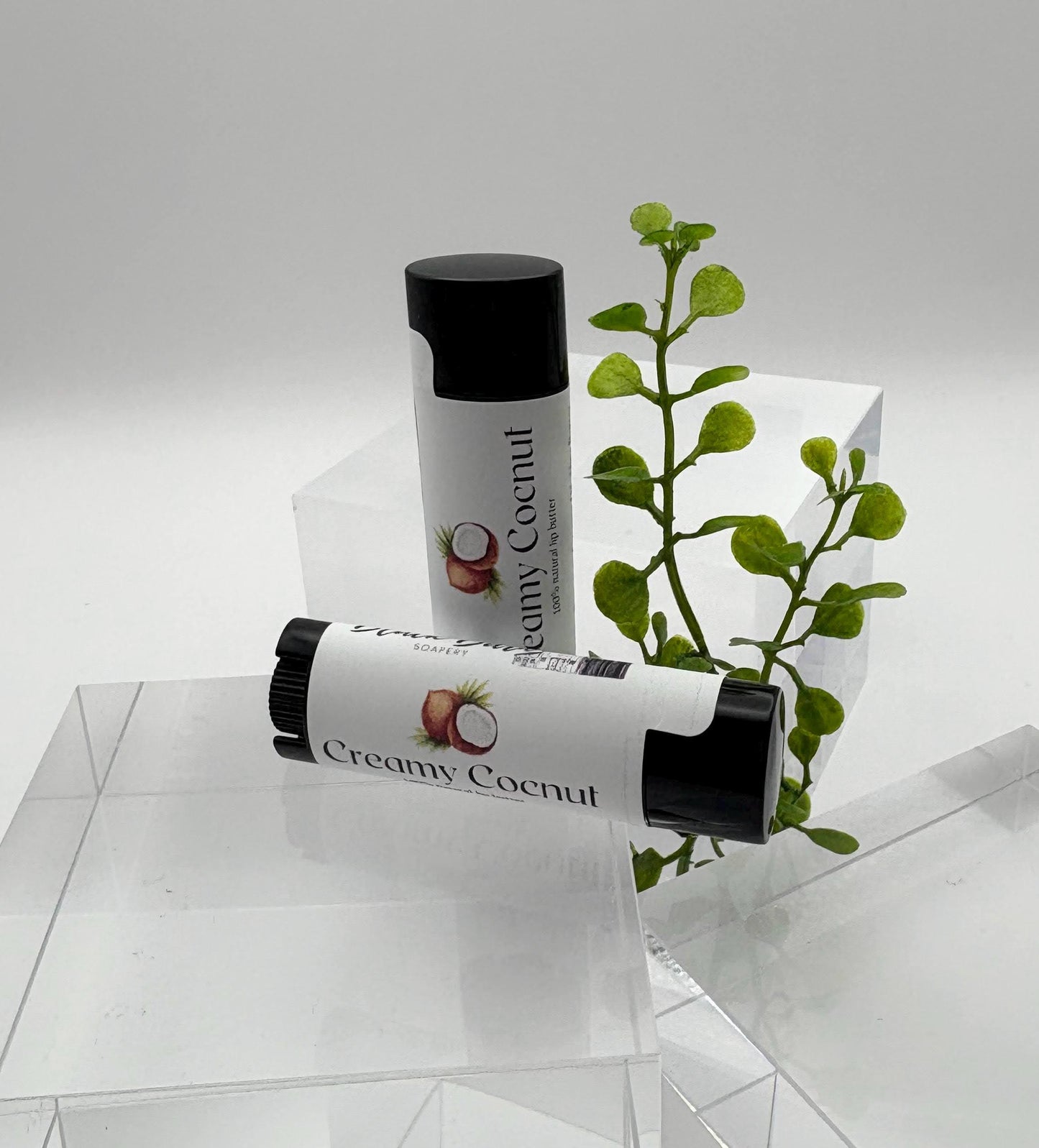 Creamy Coconut - Beeswax Lip Butter