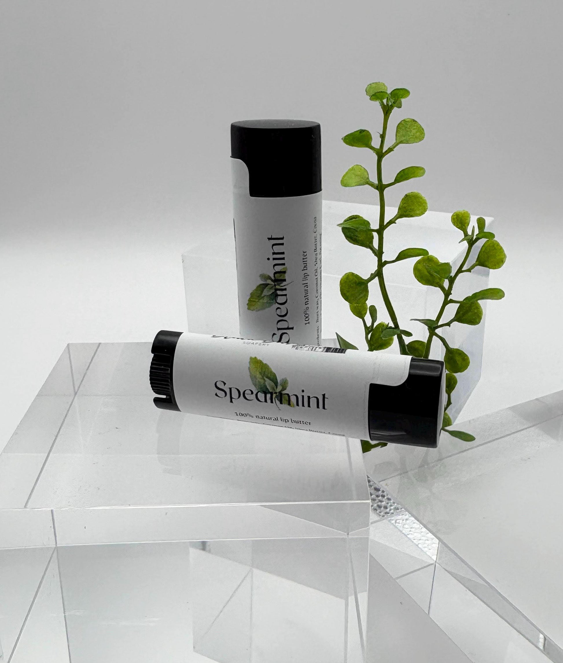 Spearmint - Beeswax Lip Butter