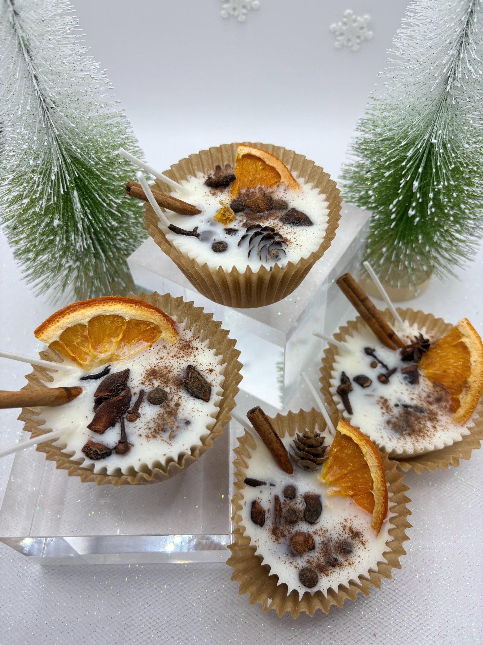 Scented Fire Starters - Set of 4 2.5oz