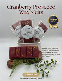 Cranberry Prosecco - Snap Bar Wax Melts