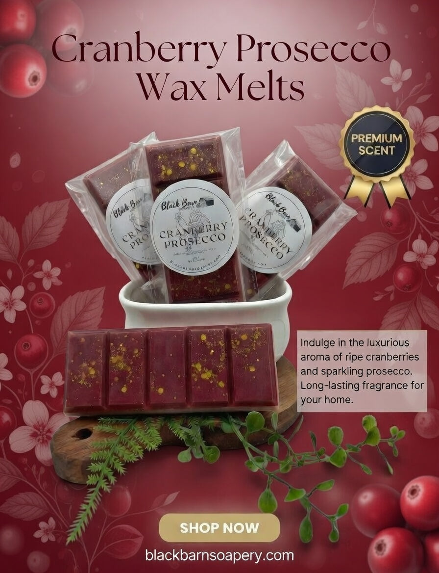 Cranberry Prosecco - Snap Bar Wax Melts