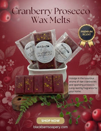 Cranberry Prosecco - Snap Bar Wax Melts