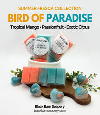Bird of Paradise -  Summer Fresca Collection