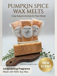 Pumpkin Spice - Snap Bar Wax Melts
