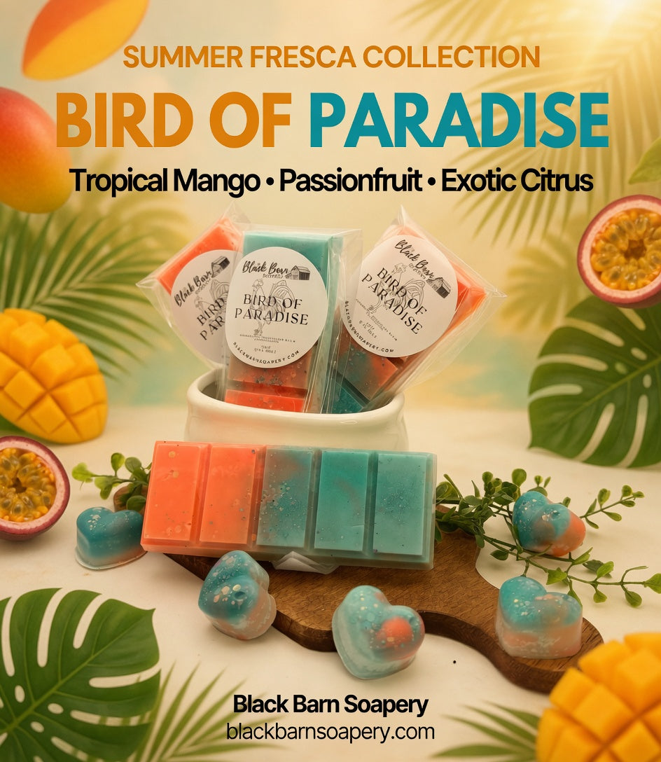 Bird of Paradise -  Summer Fresca Collection