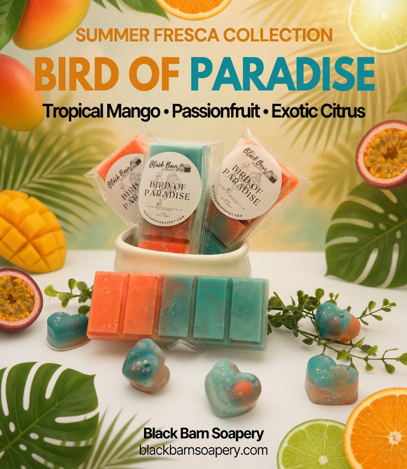 Bird of Paradise -  Summer Fresca Collection