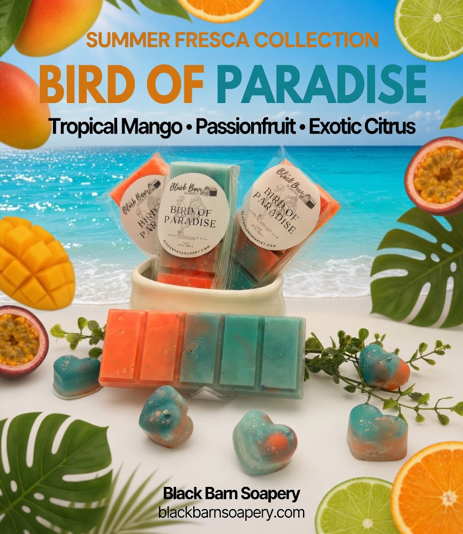 Bird of Paradise -  Summer Fresca Collection