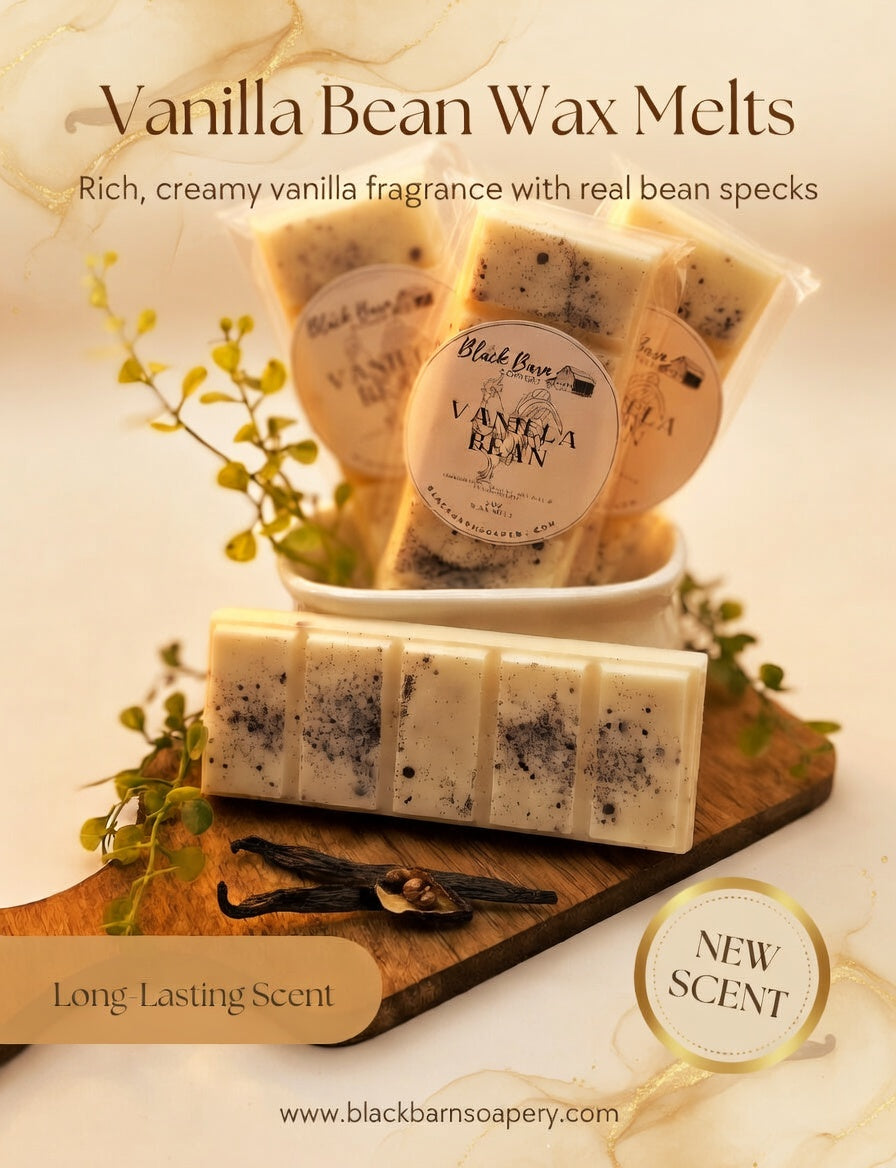 Vanilla Bean  -  Snap Bar Wax Melts