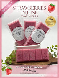 Strawberries in June -  Snap Bar Wax Melts