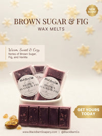 Brown Sugar & Fig  -  Snap Bar Wax Melts (BBW Type)