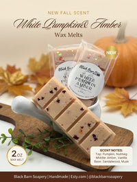 White Pumpkin Amber -  Snap Bar Wax Melts