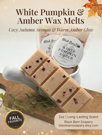 White Pumpkin Amber -  Snap Bar Wax Melts