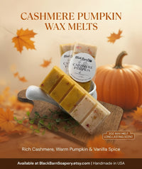 Cashmere Pumpkin -  Snap Bar Wax Melts