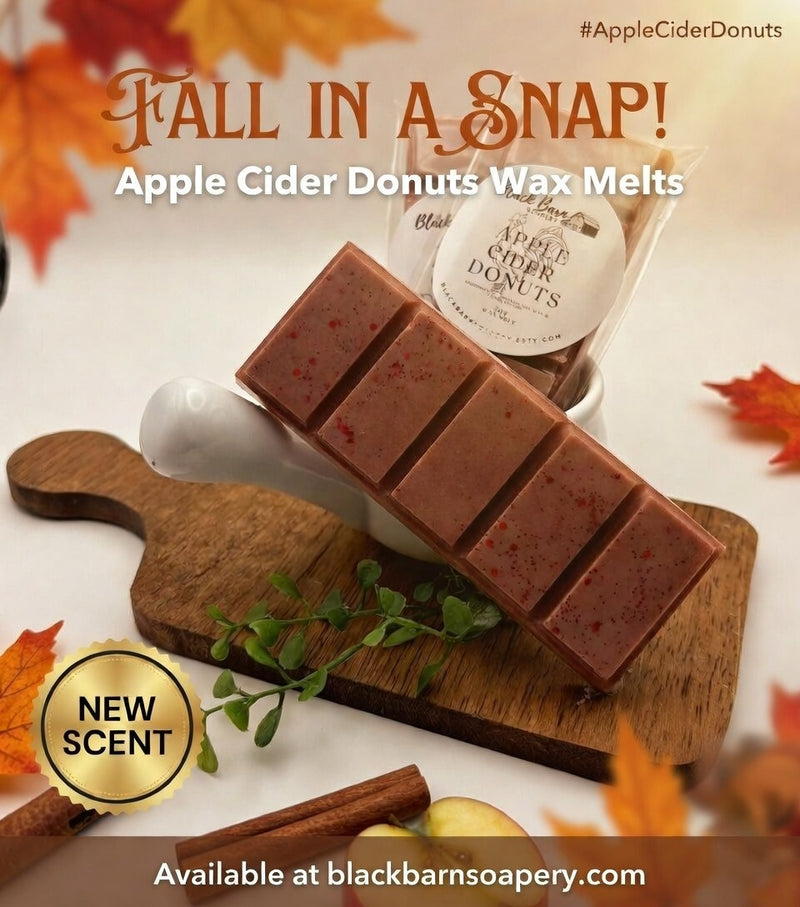 Apple Cider Donuts -  Snap Bar Wax Melts