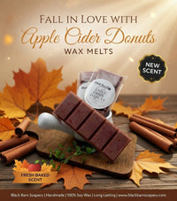 Apple Cider Donuts -  Snap Bar Wax Melts