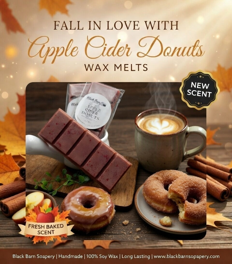Apple Cider Donuts -  Snap Bar Wax Melts