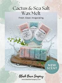 Cactus & Sea Salt -  Snap Bar Wax