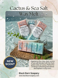 Cactus & Sea Salt -  Snap Bar Wax