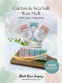Cactus & Sea Salt -  Snap Bar Wax