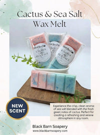 Cactus & Sea Salt -  Snap Bar Wax