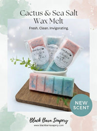 Cactus & Sea Salt -  Snap Bar Wax