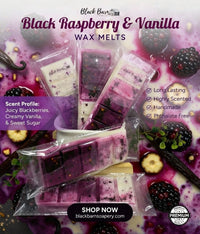 Black Raspberry Vanilla -  Snap Bar Wax Melts