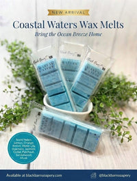 Coastal Water's  -  Snap Bar Wax Melts