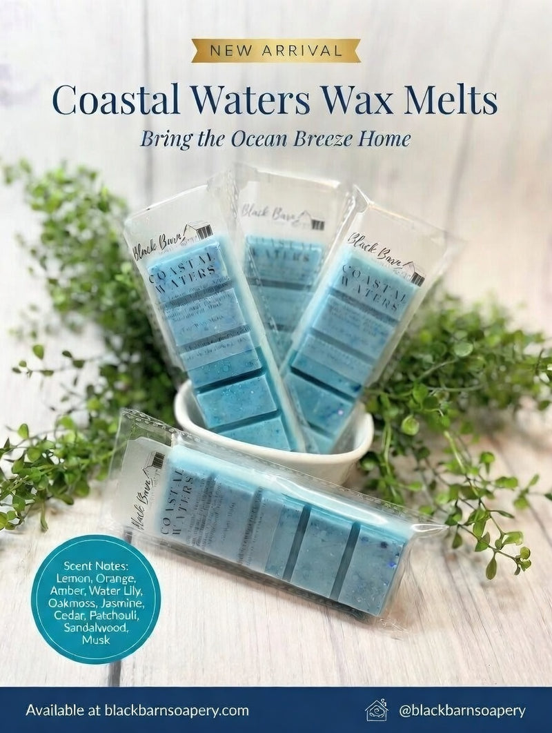 Coastal Water's  -  Snap Bar Wax Melts