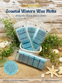 Coastal Water's  -  Snap Bar Wax Melts