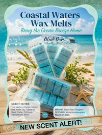 Coastal Water's  -  Snap Bar Wax Melts