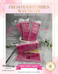 Fresh Raspberries -  Snap Bar Wax Melts