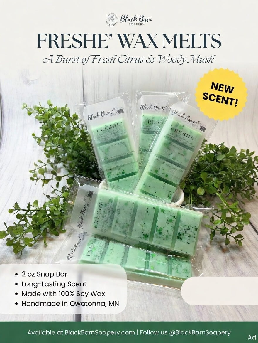 Freshe' -  Snap Bar Wax Melts