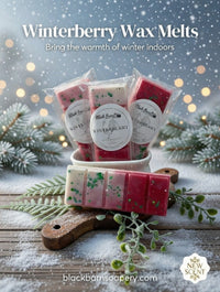 Winterberry - Snap Bar Wax Melts