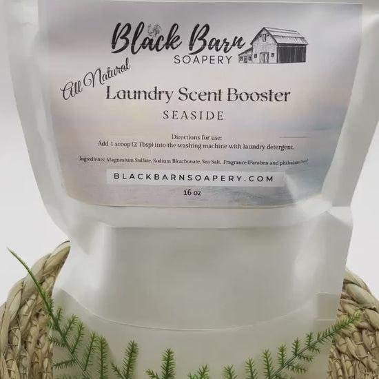 Laundry Scent Booster - 16 oz w/ Scoop  (All Natural)